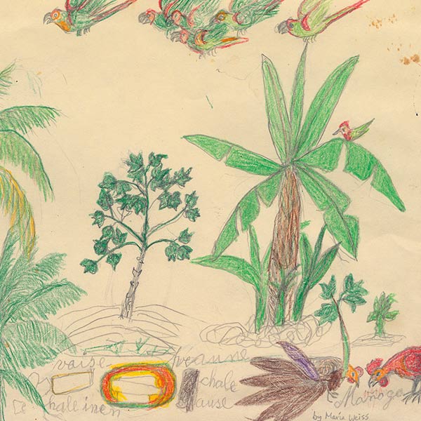 illustration of trees and chickens scratching in the dirt