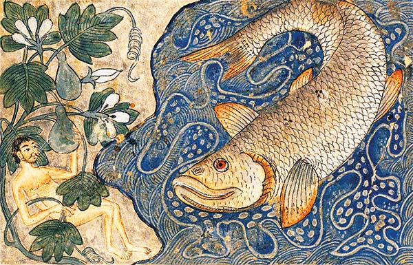 illustration of a large fish and Jonah under a tree