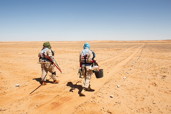 women planting trees in the Sahara Desert