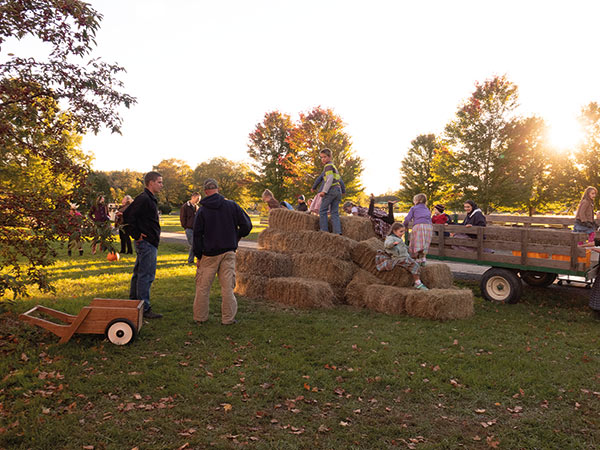 kids climbing on hay bales