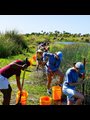 college students working with The Tampa Bay Estuary Program