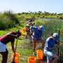 college students working with The Tampa Bay Estuary Program