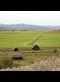 Saving the Soil, Saving the Farm