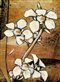 painting of white flowers