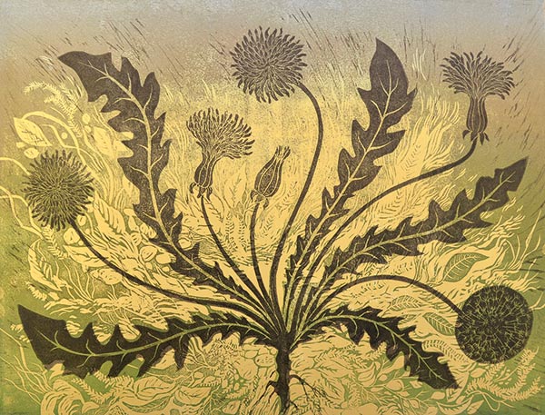 Tricia Newell, Dandelion