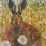 a rabbit in a dandelion field