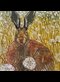 a rabbit in a dandelion field