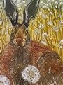 a rabbit in a dandelion field