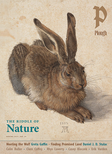 cover of Plough Quarterly Issue 39