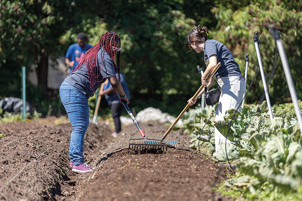 Earthworks Agriculture Training students prepare a row for seed.