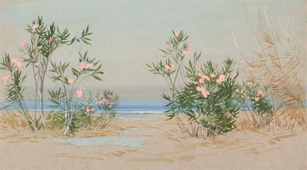Lilias Trotter, Oleanders