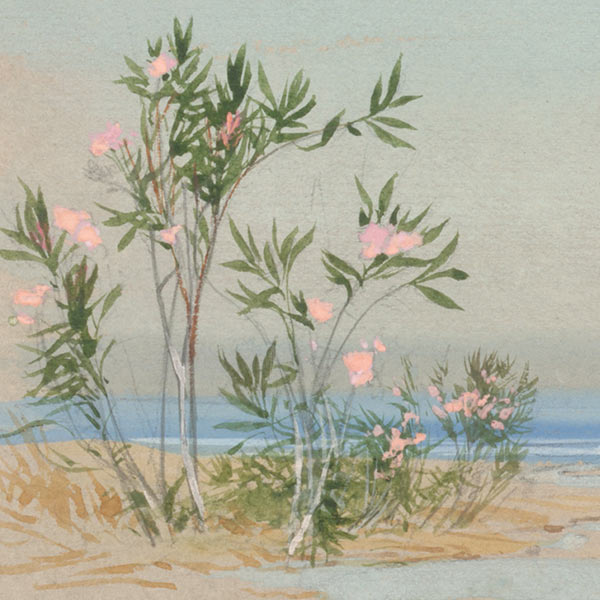 Reading the Book of Nature