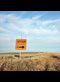 Saskatchewan, Promised Land