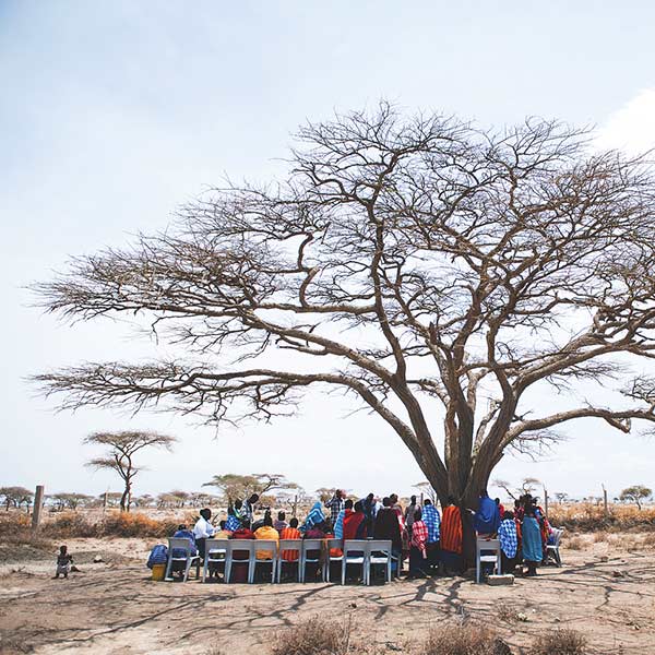 people sitting under a bare tree