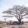 people sitting under a bare tree