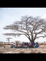 people sitting under a bare tree