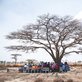 people sitting under a bare tree