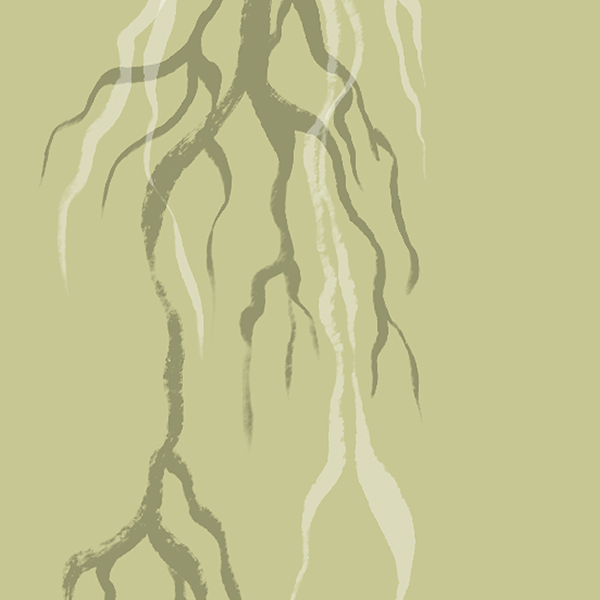 illustration of roots