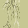 illustration of roots