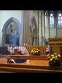 a Dominican Sister of St. Joseph