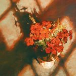 Por qué tomé votos perpetuos