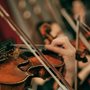 people playing violins in an orchestra