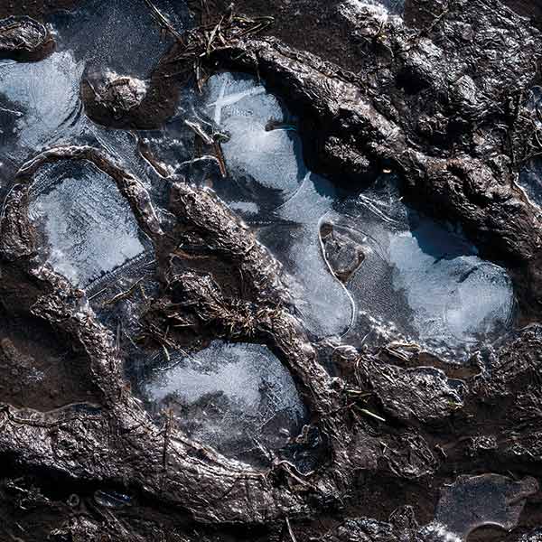 ice in a muddy footprint
