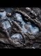 ice in a muddy footprint