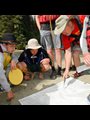 Boy Scouts and leader looking at a map on the ground