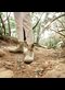 a woman hiking on a trail