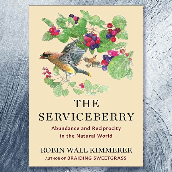 book cover of The Serviceberry
