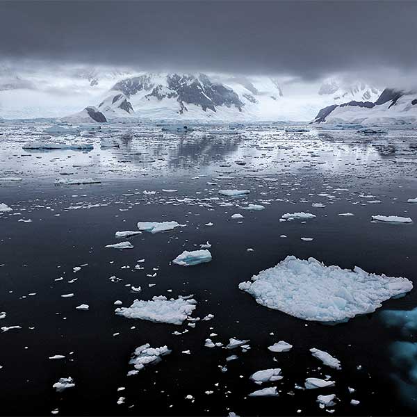 floating ice in bay of Antarctica