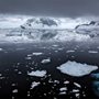 floating ice in bay of Antarctica