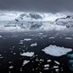 floating ice in bay of Antarctica