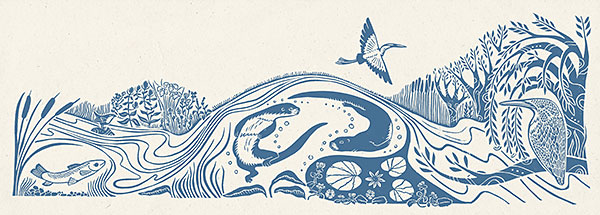 illustration of a stream, fish and otters