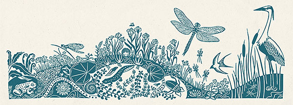 illustration of insects and meadow grasses