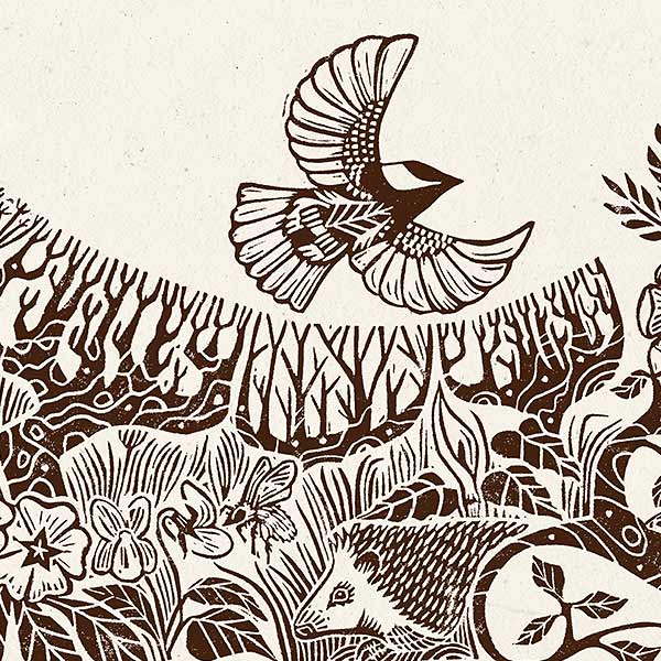 illustration of birds and grass