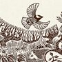 illustration of birds and grass