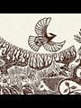 illustration of birds and grass