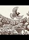 illustration of birds and grass