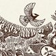 illustration of birds and grass