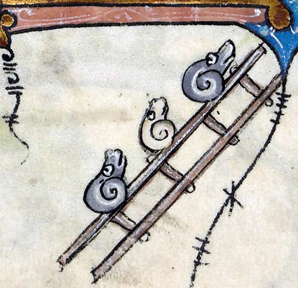 medieval illustration of snails on a ladder