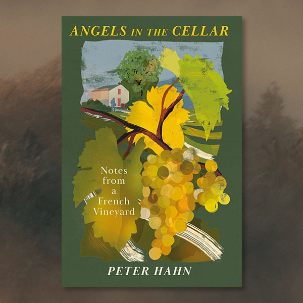 book cover of Angels in the Cellar