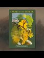 book cover of Angels in the Cellar