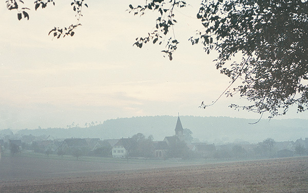 mist covered village in Germany
