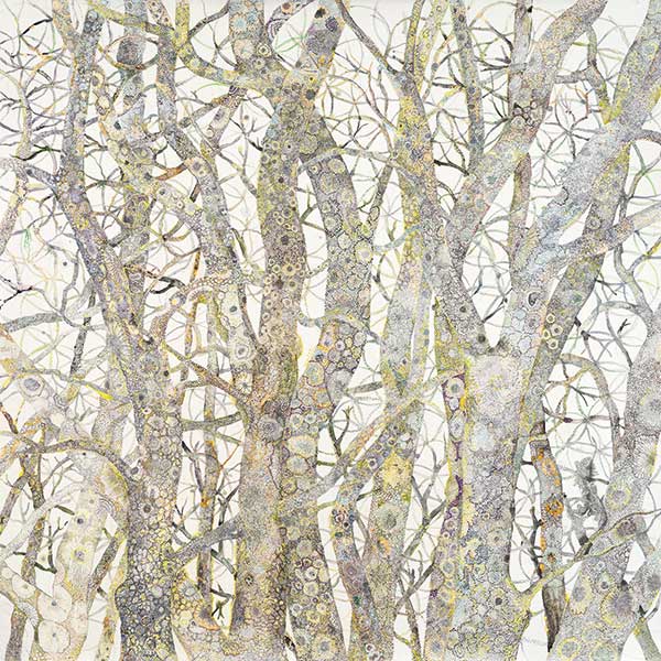 illustration of lichen on trees