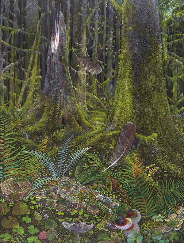 illustration of a mossy forest