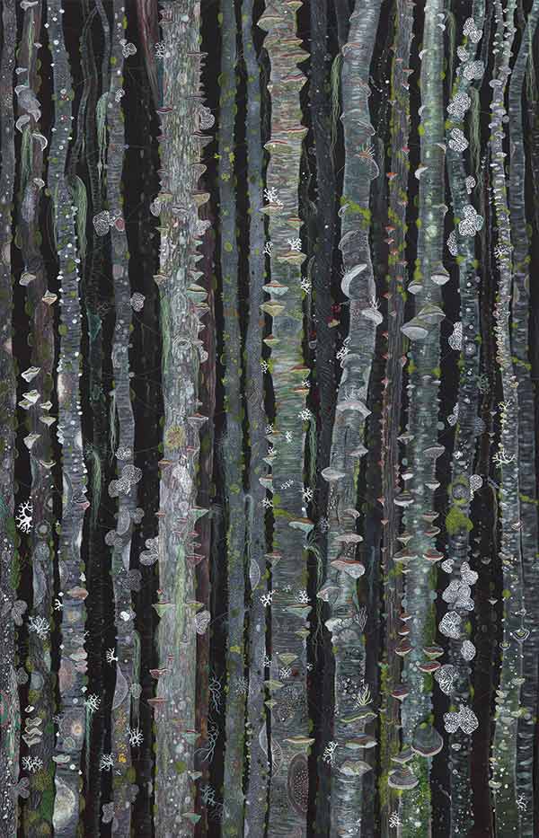 illustration of lichen and fungus growing on trees