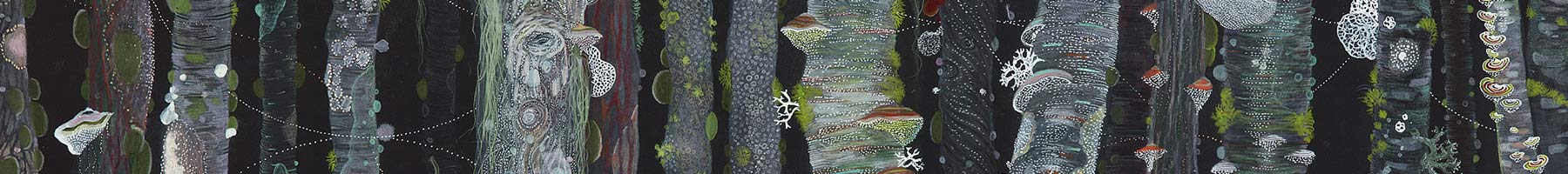 illustration of lichen and fungus growing on trees