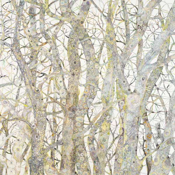 illustration of lichen on trees